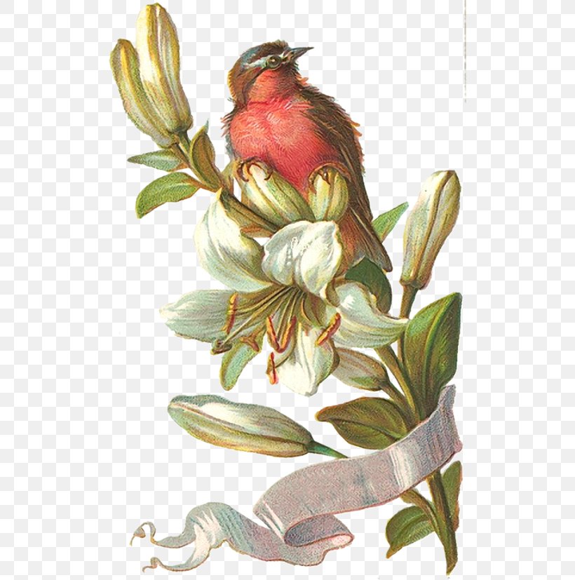 Bird Clip Art, PNG, 512x827px, Bird, Art, Author, Blog, Floral Design Download Free