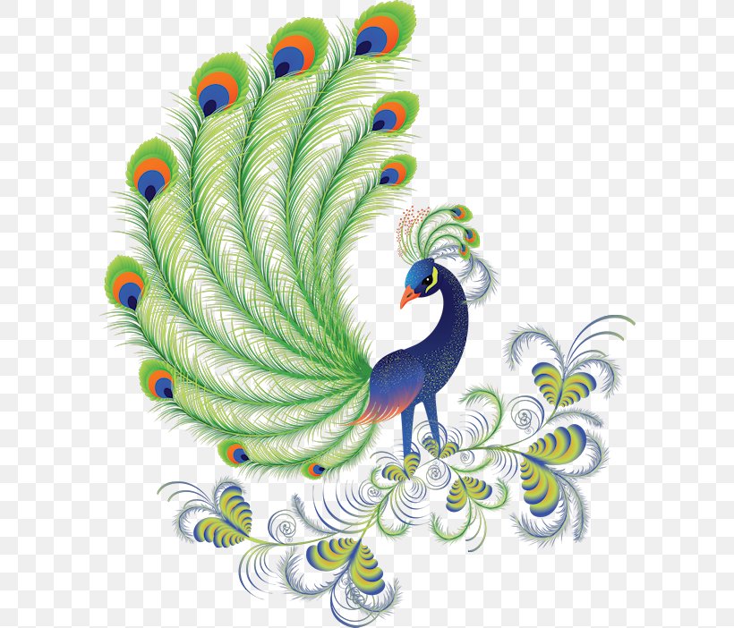 Bird Peafowl Clip Art, PNG, 600x702px, Bird, Autocad Dxf, Beak, Chicken, Feather Download Free