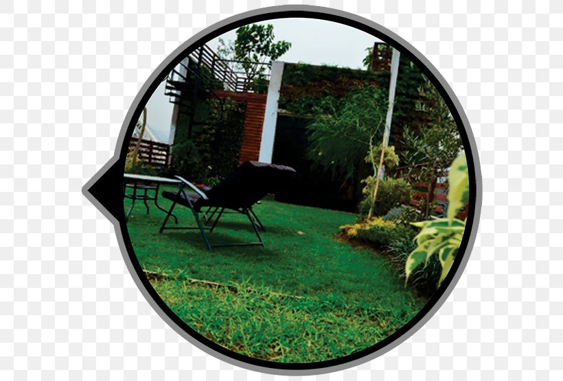 Green Roof Garden Green Wall Ceiling, PNG, 600x556px, Green Roof, Ceiling, Flat Roof, Flowerpot, Garden Download Free
