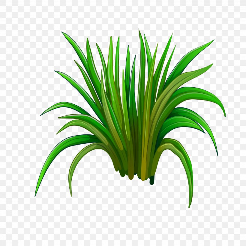 Leaf Herbaceous Plant, PNG, 2756x2756px, Leaf, Animation, Aquatic Plant, Drawing, Flower Download Free