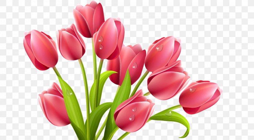 Tulip Flower Clip Art, PNG, 1107x614px, Tulip, Cut Flowers, Floristry, Flower, Flower Bouquet Download Free