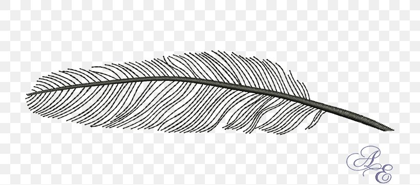 Feather Bird Color Wing, PNG, 722x361px, Feather, Art, Bird, Black And White, Color Download Free
