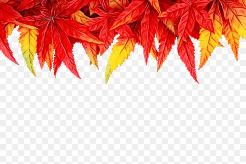 Red Maple Leaf, PNG, 960x640px, Autumn, Brown, Flower, Green, Leaf Download Free