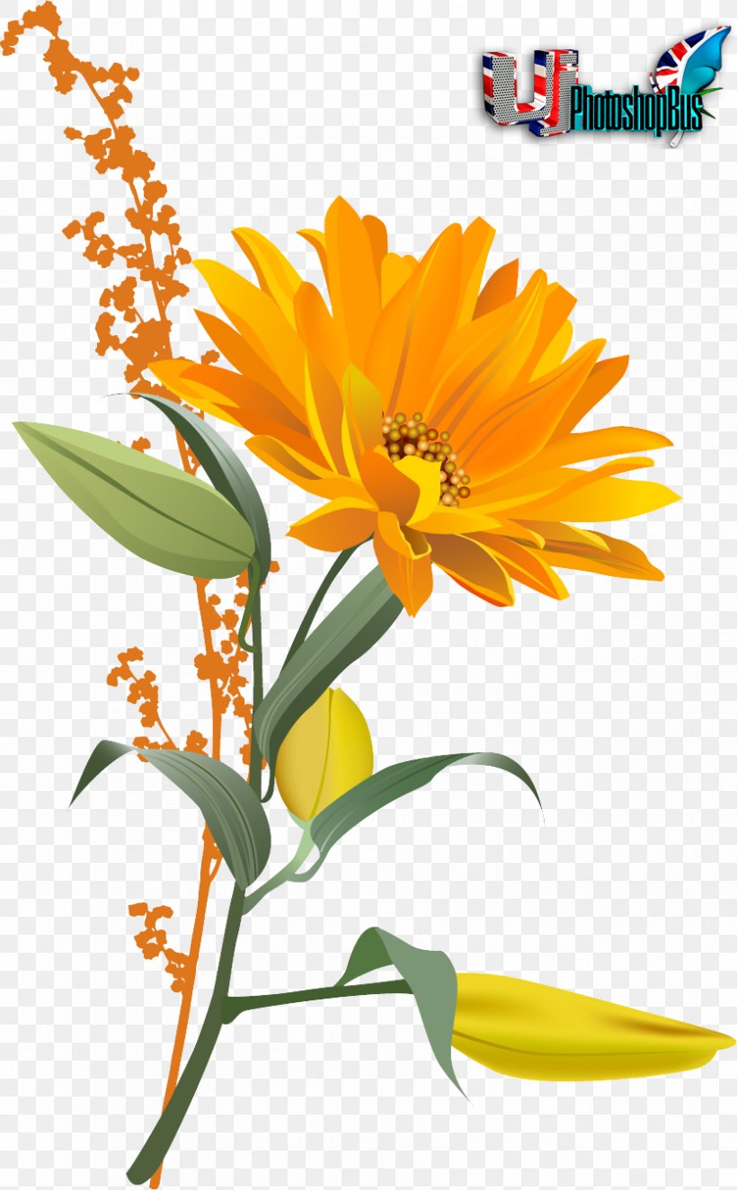 Bee Pollination Common Sunflower, PNG, 835x1349px, Bee, Blossom, Calendula, Common Sunflower, Cut Flowers Download Free