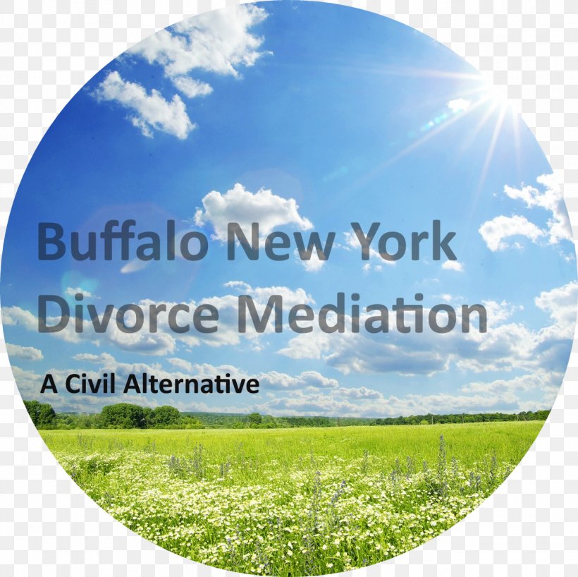 Buffalo NY Divorce Mediation, PNG, 1245x1242px, Mediation, Atmosphere, Buffalo, Cloud, Daytime Download Free