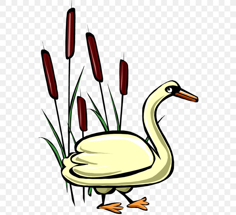 Cygnini Duck Goose Clip Art, PNG, 560x750px, Cygnini, Artwork, Beak, Bird, Duck Download Free