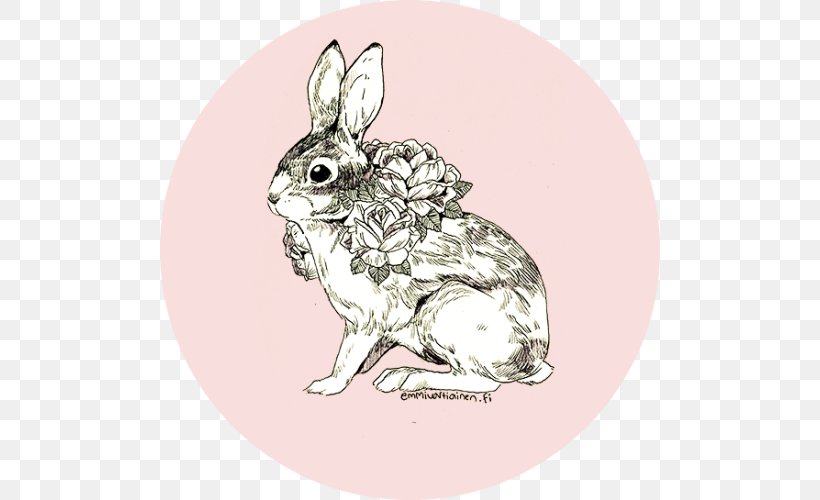 Hare Rabbit Drawing Illustrator, PNG, 500x500px, Hare, Art, Brush Rabbit, Domestic Rabbit, Drawing Download Free