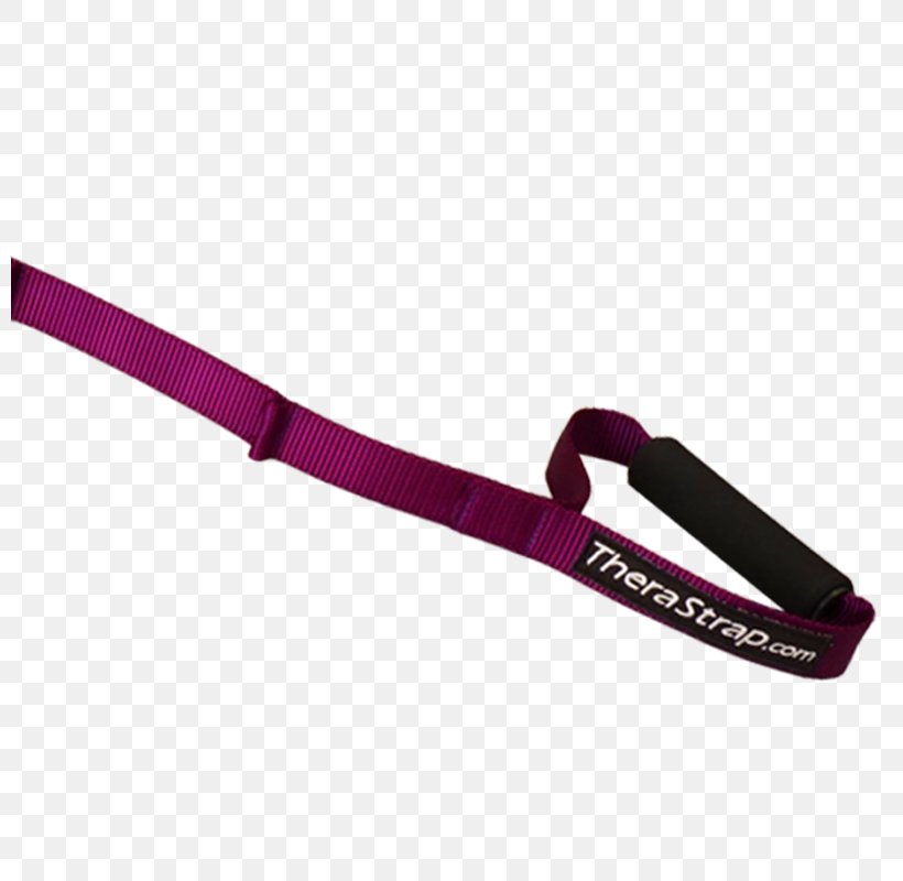 Leash Strap Pink M, PNG, 800x800px, Leash, Fashion Accessory, Magenta, Pink, Pink M Download Free