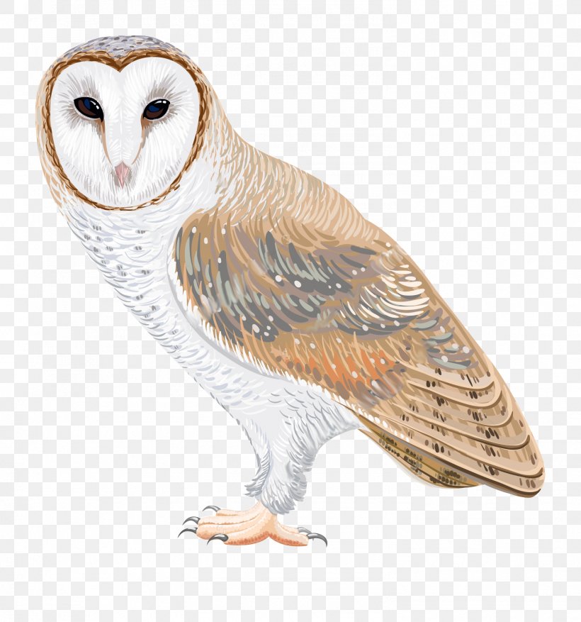 Barn Owl Drawing Clip Art, PNG, 1496x1600px, Owl, Barn Owl, Beak, Bird, Bird Of Prey Download Free