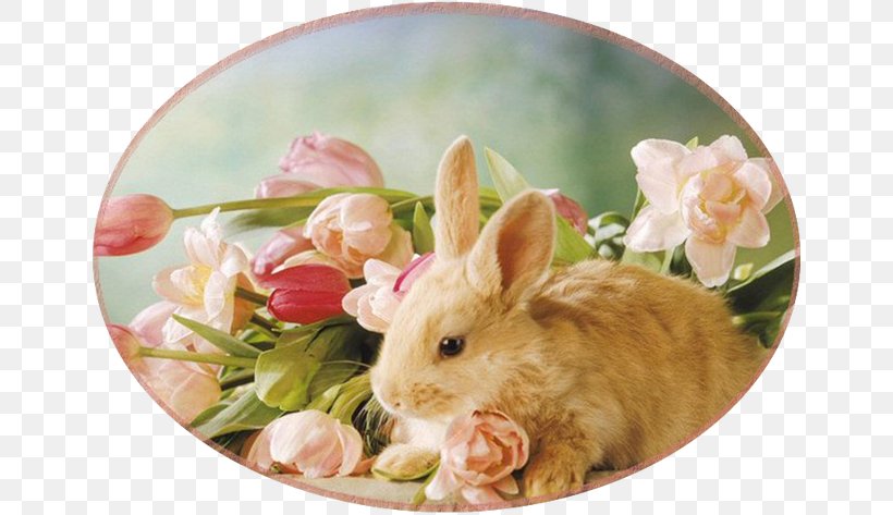 Easter Bunny Rodent Rabbit Grove Hill Floral, PNG, 653x473px, Easter Bunny, Domestic Rabbit, Easter, Easter Basket, Easter Customs Download Free