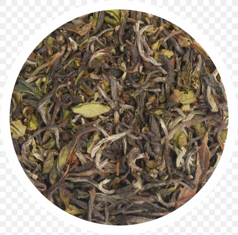 Green Tea Dianhong Oolong Assam Tea, PNG, 866x854px, Tea, Assam Tea, Bai Mudan, Baihao Yinzhen, Bancha Download Free