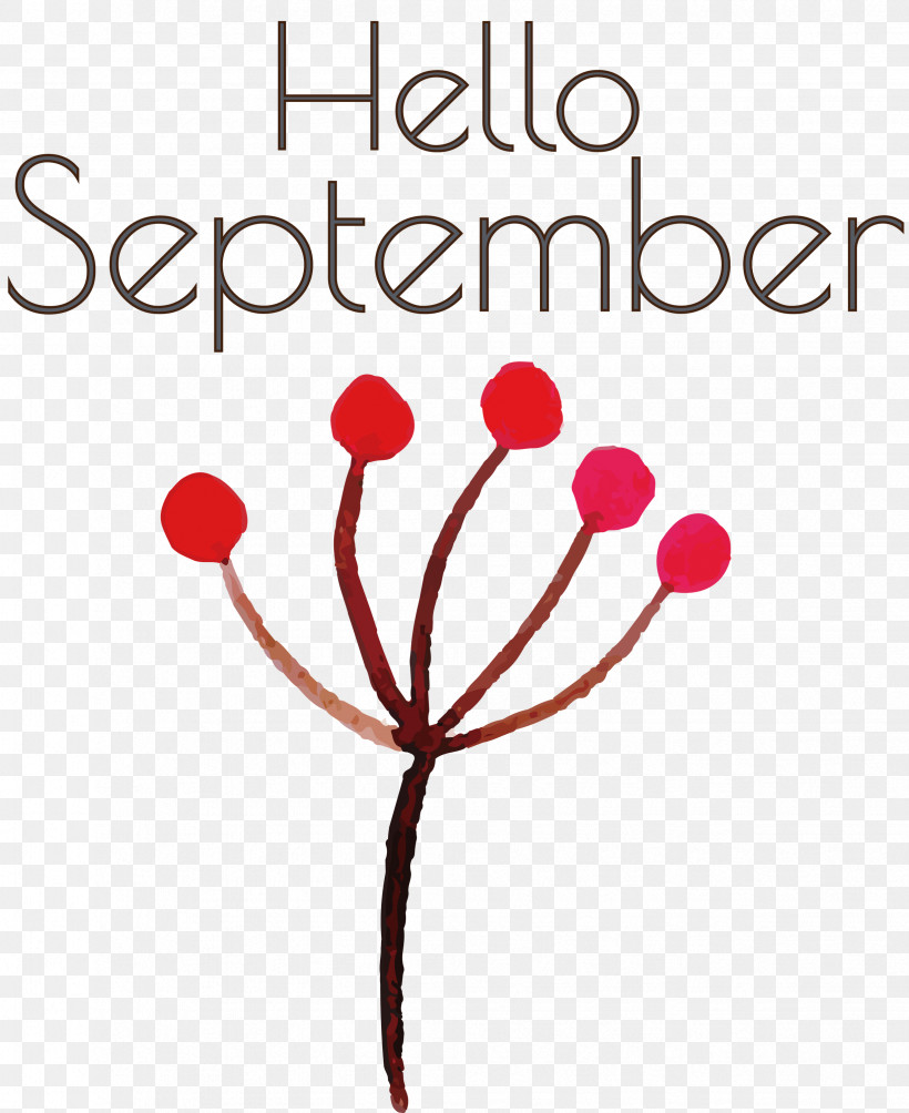 Hello September September, PNG, 2448x3000px, Hello September, Flower, Human Body, Jewellery, Meter Download Free