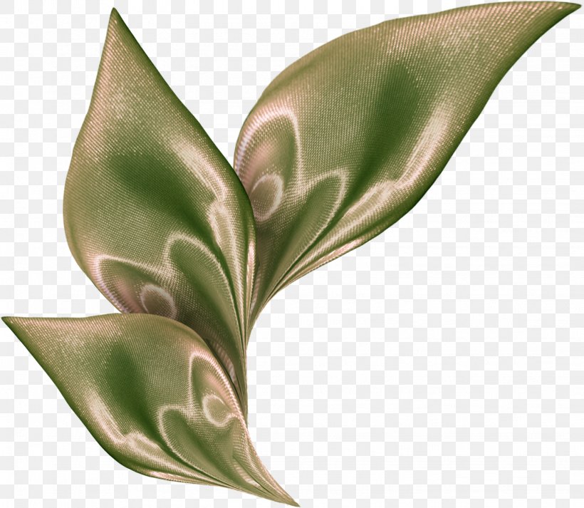 Leaf Flower Plant Stem, PNG, 1431x1246px, Leaf, Arum, Flower, Plant, Plant Stem Download Free
