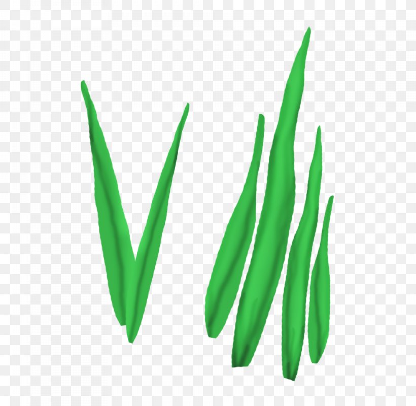 Leaf Logo Font, PNG, 984x960px, Leaf, Computer, Grass, Green, Logo Download Free