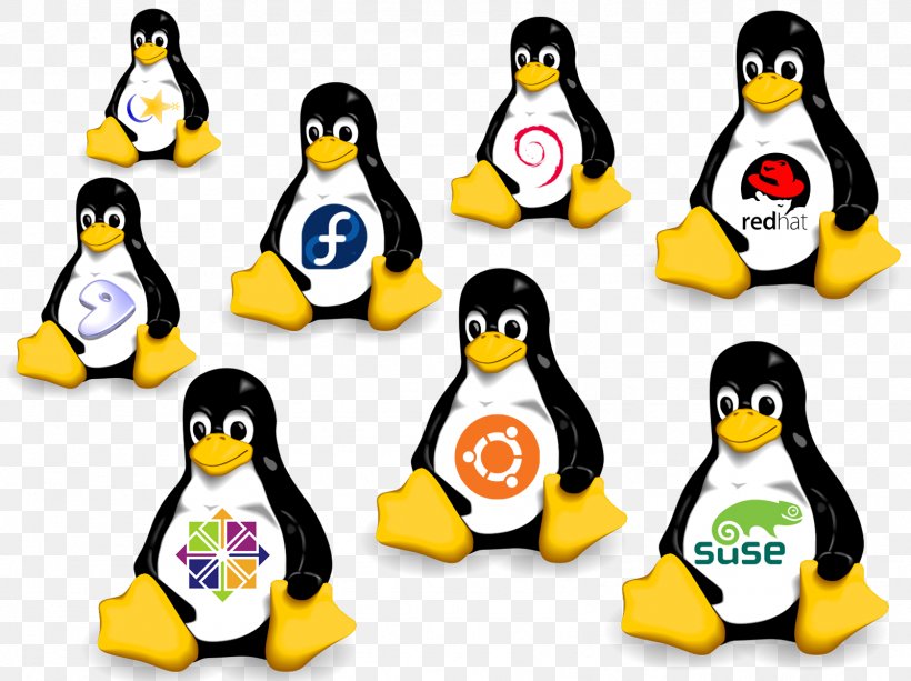 SUSE Linux Distributions Operating Systems Ubuntu, PNG, 1602x1199px, Linux, Bird, Centos, Computer Software, Flightless Bird Download Free