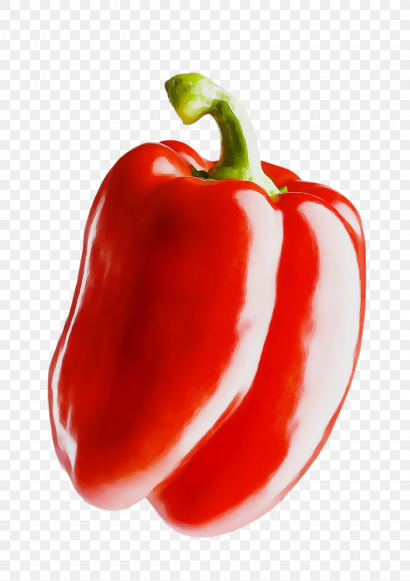 Tomato, PNG, 1200x1700px, Watercolor, Bell Pepper, Cayenne Pepper, Greek Salad, Habanero Download Free