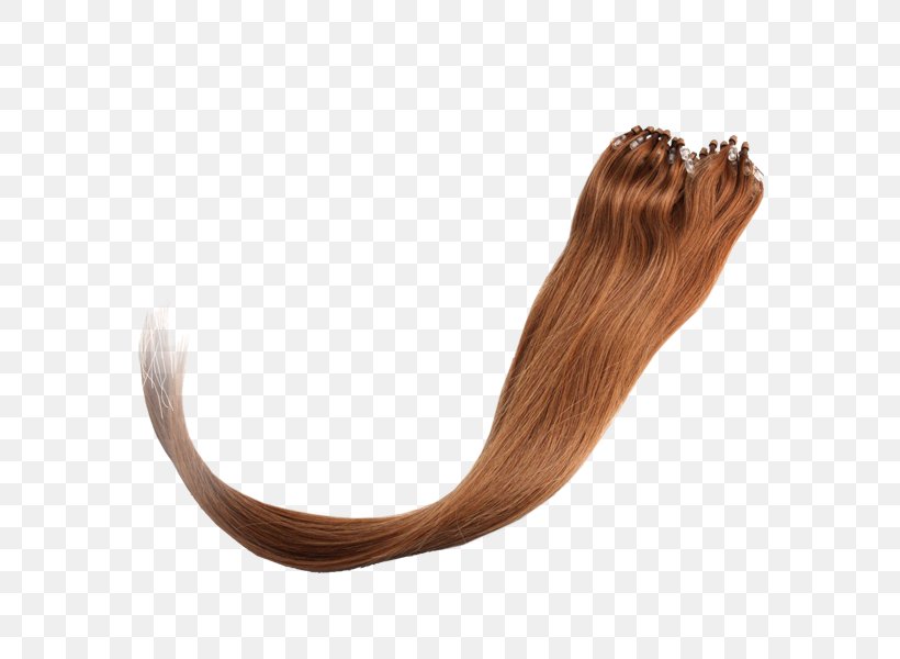 Artificial Hair Integrations Long Hair Hair Coloring Hairstyle, PNG, 600x600px, Artificial Hair Integrations, Brown Hair, Color, Hair, Hair Coloring Download Free