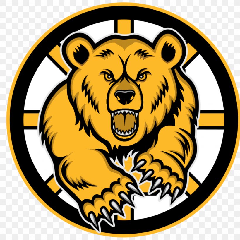 Boston Bruins Logo Bear Telangana, PNG, 894x894px, Boston Bruins, Art, Artwork, Bear, Big Cats Download Free