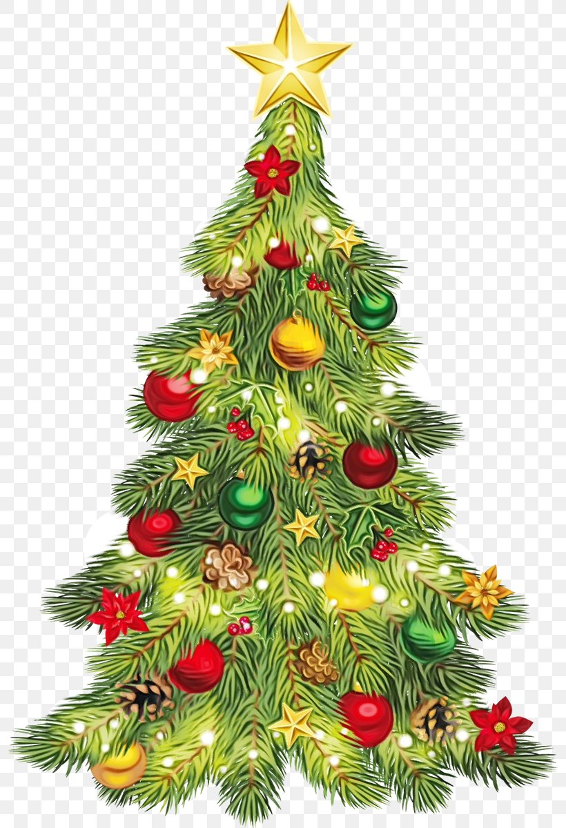 Christmas Tree, PNG, 797x1200px, Watercolor, Christmas, Christmas ...