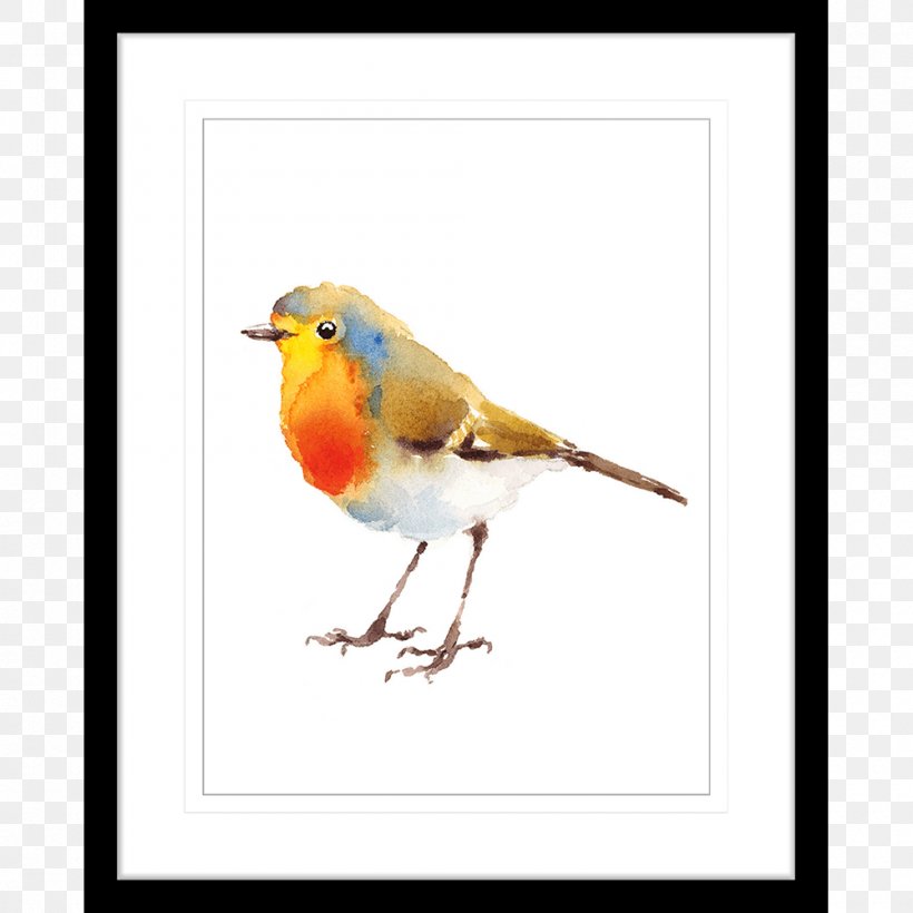 European Robin Watercolor Painting Drawing Art, PNG, 1000x1000px, European Robin, Art, Beak, Bird, Drawing Download Free