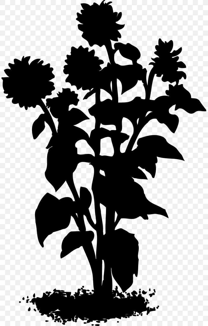 Flower Plant Stem Leaf Clip Art Silhouette, PNG, 807x1280px, Flower, Blackandwhite, Botany, Branch, Branching Download Free