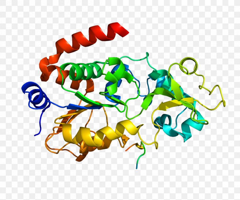 Sirtuin 3 Sirtuin 1 Protein Cell, PNG, 1200x1000px, Sirtuin, Biology, Cell, Gene, Histone Deacetylase Download Free