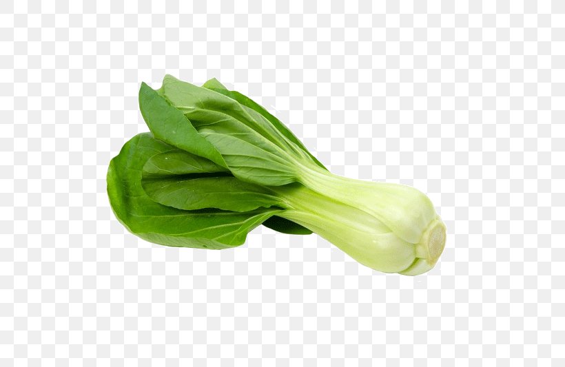 Basil Leaf, PNG, 800x533px, Romaine Lettuce, Basil, Bok Choi, Broccoli, Chard Download Free