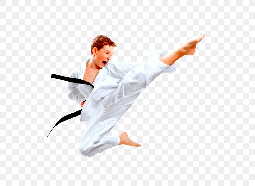Karate Martial Arts Kick Taekwondo Jujutsu, PNG, 520x600px, Karate, Arm, Boxing, Brazilian Jiujitsu, Insurance Download Free