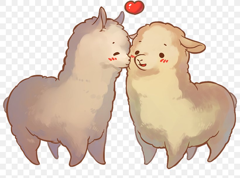 Alpaca Fiber Sheep Llama, PNG, 800x609px, Alpaca, Alpaca Fiber, Camel Like Mammal, Cattle Like Mammal, Creativity Download Free