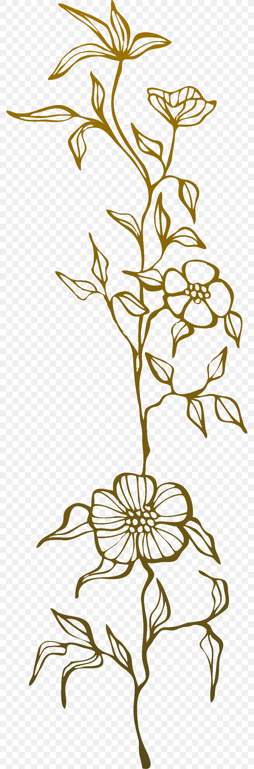 Flower Border Flower Background Floral Line, PNG, 779x2475px, Flower Border, Coloring Book, Cut Flowers, Floral Design, Floral Line Download Free