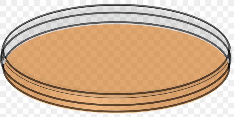 Petri Dishes Laboratory Clip Art, PNG, 960x480px, Petri Dishes, Agar, Drawing, Food, Laboratory Download Free