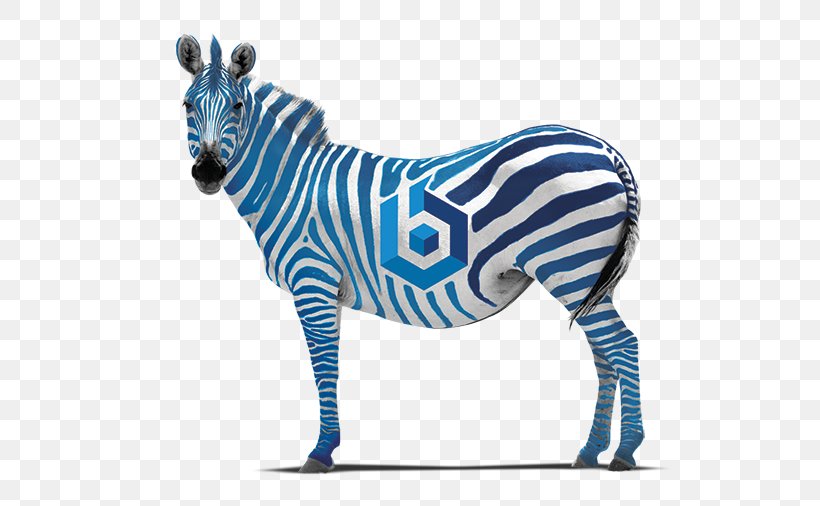 Quagga Zebra Horse Picture Frames Painting, PNG, 539x506px, Quagga, Android, Animal Figure, Cobalt Blue, Highdefinition Television Download Free