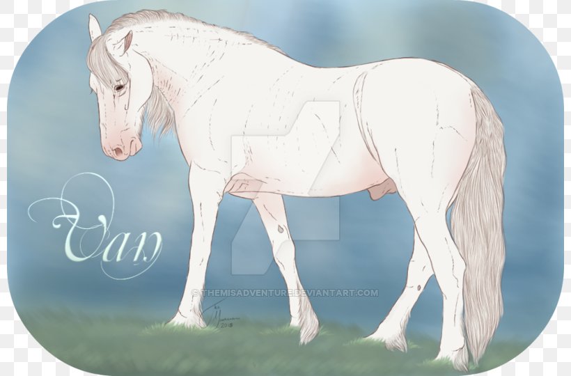 Stallion Mustang Foal Mare Colt, PNG, 800x540px, Stallion, Bridle, Colt, Foal, Grass Download Free