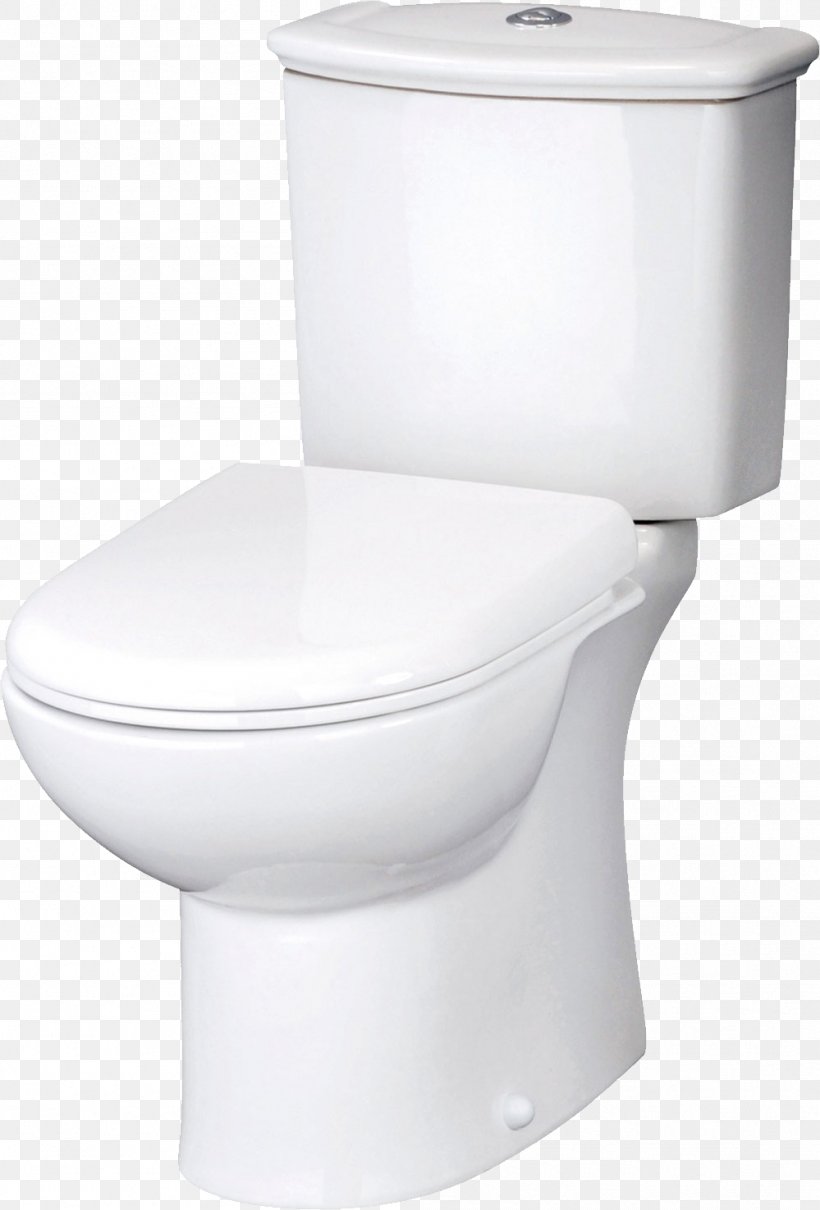 accessible toilet seat