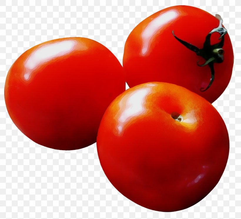 Tomato, PNG, 1013x918px, Watercolor, Bush Tomato, Food, Fruit, Natural Foods Download Free