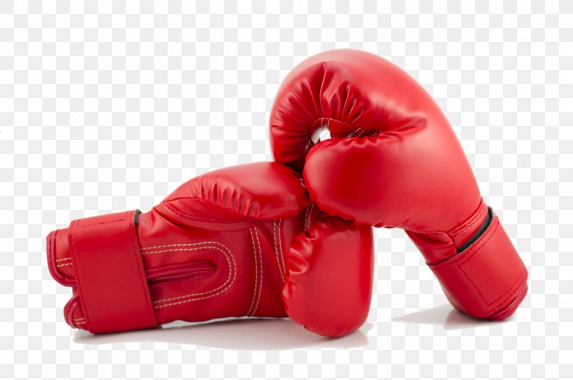 Boxing Glove Stock Photography Stock.xchng, PNG, 900x596px, Rules For Radicals, Author, Book, Boxing Equipment, Boxing Glove Download Free