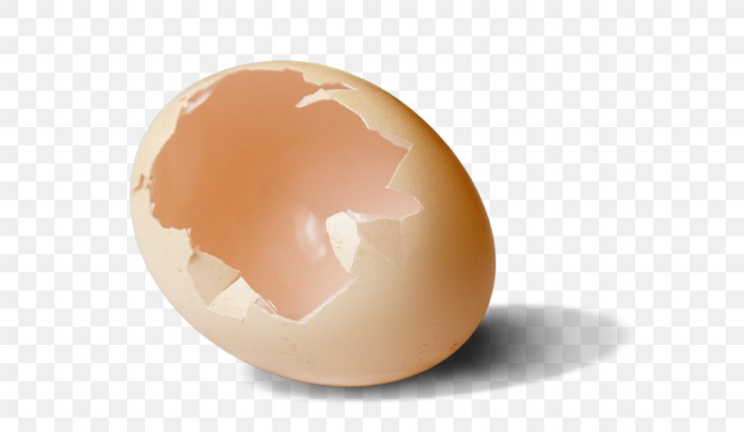 Chicken Egg Broken Eggshell Peel, PNG, 600x476px, Chicken, Chicken Egg, Egg, Egg Broken, Eggshell Download Free
