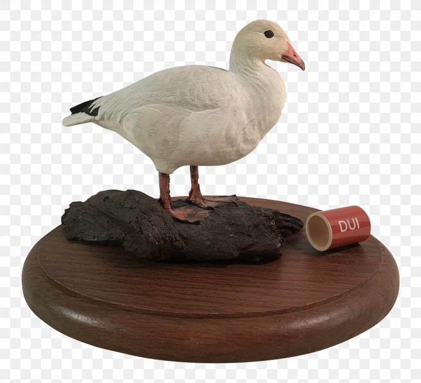Duck Goose Beak, PNG, 2993x2728px, Duck, Beak, Bird, Ducks Geese And Swans, Fauna Download Free