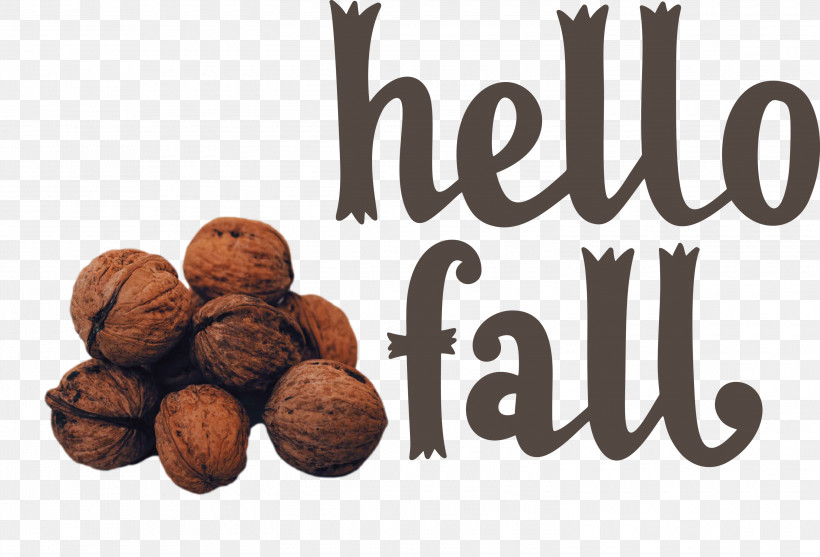 Hello Fall Fall Autumn, PNG, 3000x2038px, Hello Fall, Autumn, Fall, Ingredient, Meter Download Free
