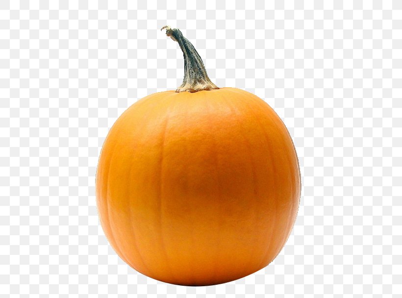 Pumpkin Calabaza Cincinnati Reds Gourd, PNG, 729x608px, Pumpkin, Calabaza, Cincinnati, Cincinnati Reds, Cucumber Gourd And Melon Family Download Free