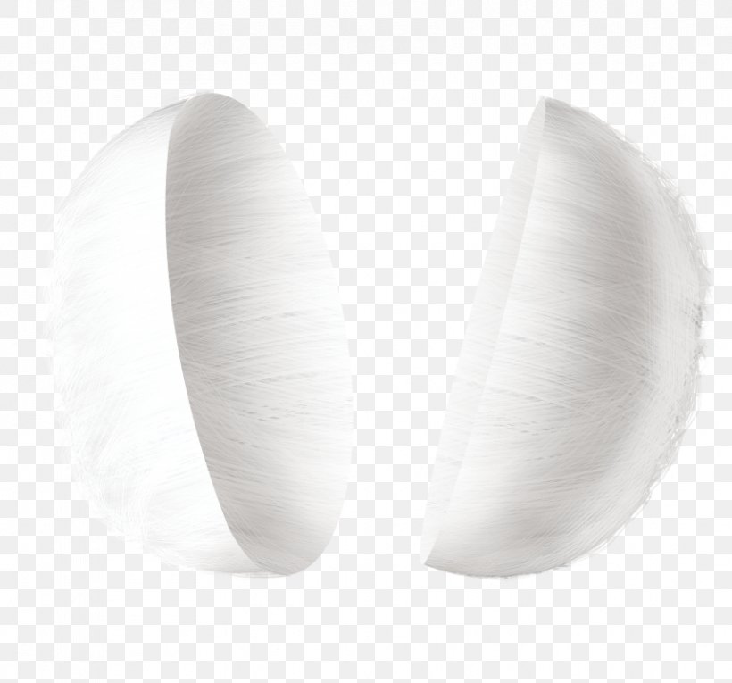 Silkworm White, PNG, 856x799px, Silk, Black And White, Bozzolo, Facial, Gratis Download Free