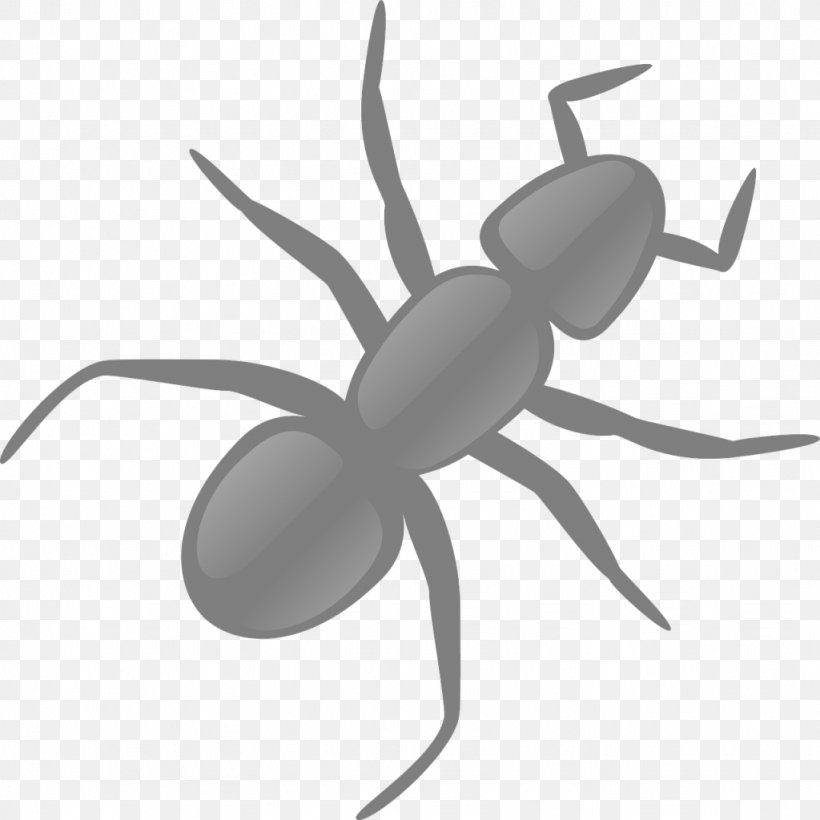 Ant Clip Art, PNG, 1024x1024px, Ant, Arthropod, Black And White, Black Garden Ant, Blog Download Free
