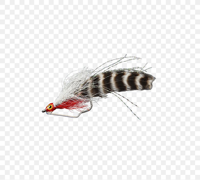 Insect Woolly Bugger Ephydridae Fly Fishing Everglades, PNG, 555x741px, Insect, Bead, Everglades, Feather, Fly Download Free