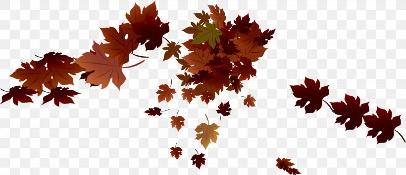 Maple Leaf Autumn Clip Art, PNG, 3236x1402px, Maple Leaf, Autumn, Digital Image, Display Resolution, Dots Per Inch Download Free