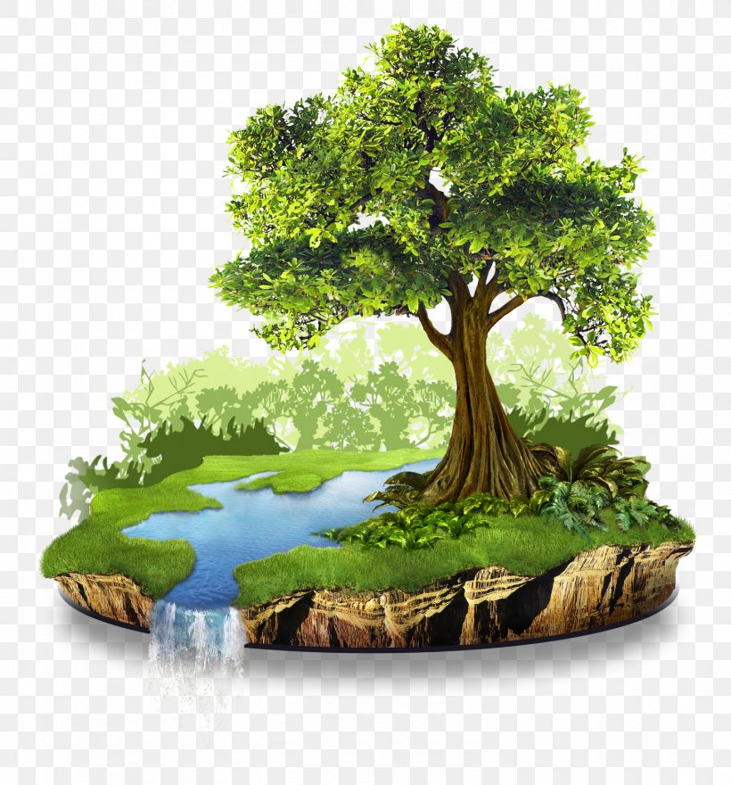 Natural Resource Conservation Nature Natural Environment, PNG, 1490x1600px, Natural Resource, Atmosphere Of Earth, Bonsai, Conservation, Essay Download Free