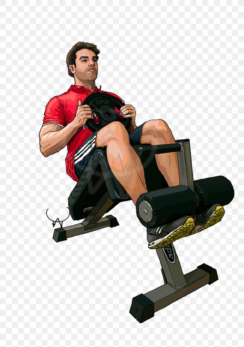 Weightlifting Machine Indoor Rower Corporate Image Brand, PNG, 1127x1600px, Weightlifting Machine, Arm, Bench, Brand, Circus Download Free