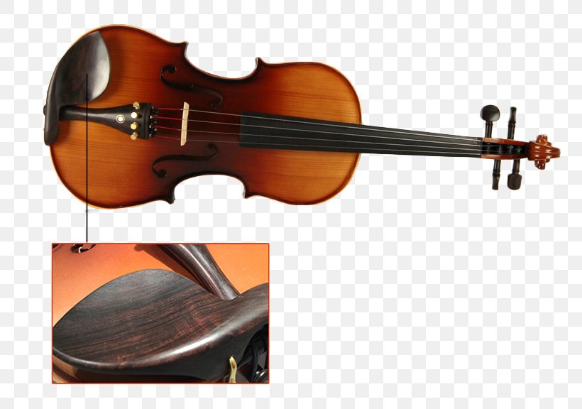 Bass Violin Viola Fibonacci Number Violone, PNG, 800x576px, Watercolor, Cartoon, Flower, Frame, Heart Download Free
