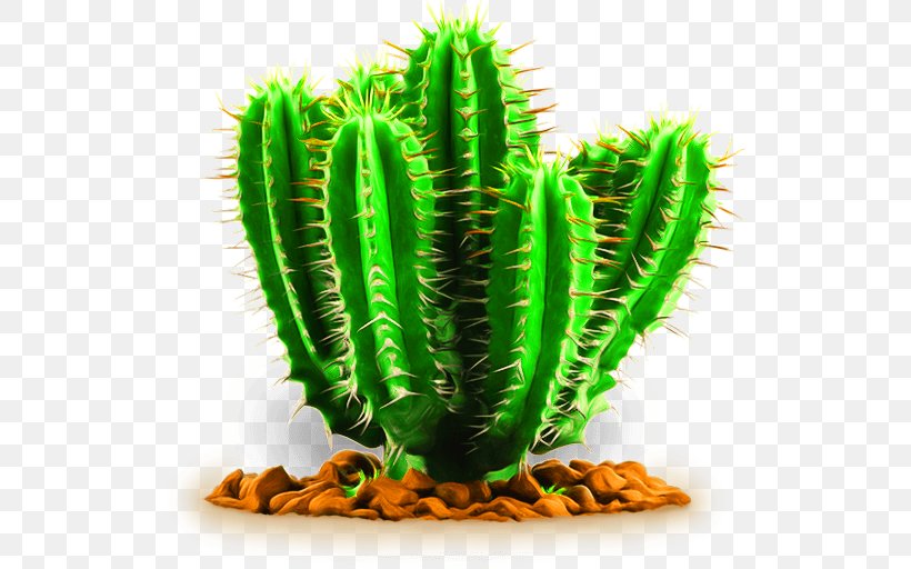 Cactaceae Succulent Plant, PNG, 524x512px, Cactaceae, Acanthocereus Tetragonus, Cactus, Caryophyllales, Desert Download Free