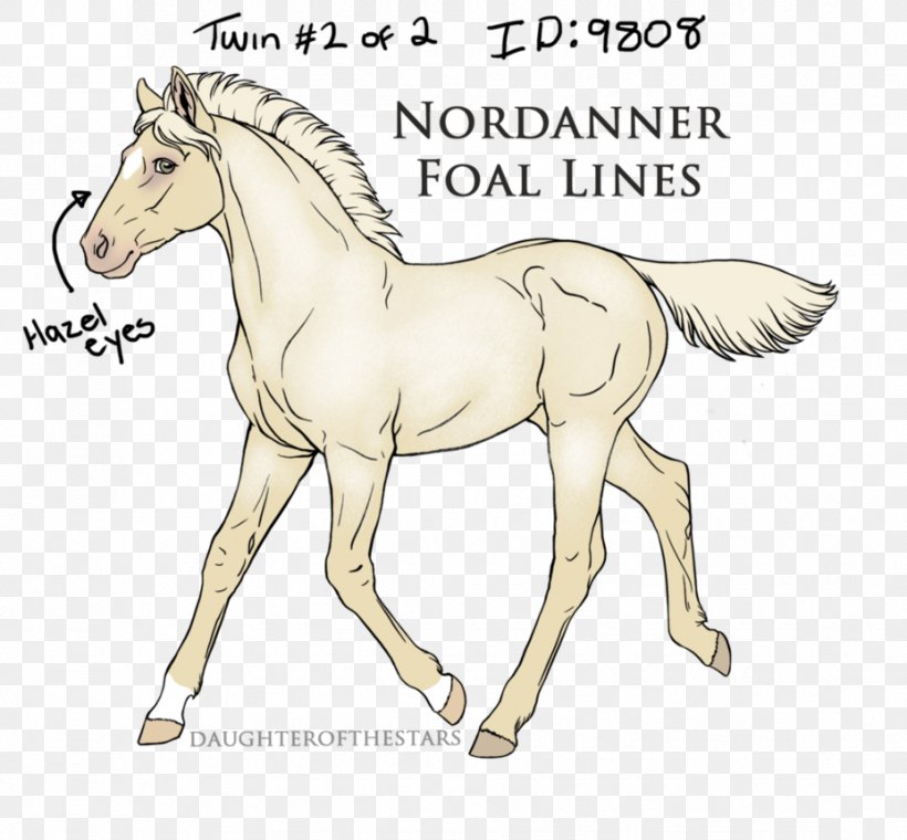 Foal Mustang Pony Stallion Mane, PNG, 928x861px, Foal, Animal Figure, Bridle, Colt, Fauna Download Free