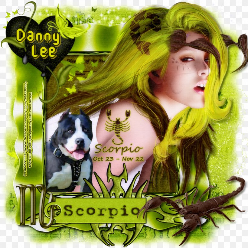 Green Hair Coloring Album Cover Animal, PNG, 900x900px, Green, Album, Album Cover, Animal, Character Download Free